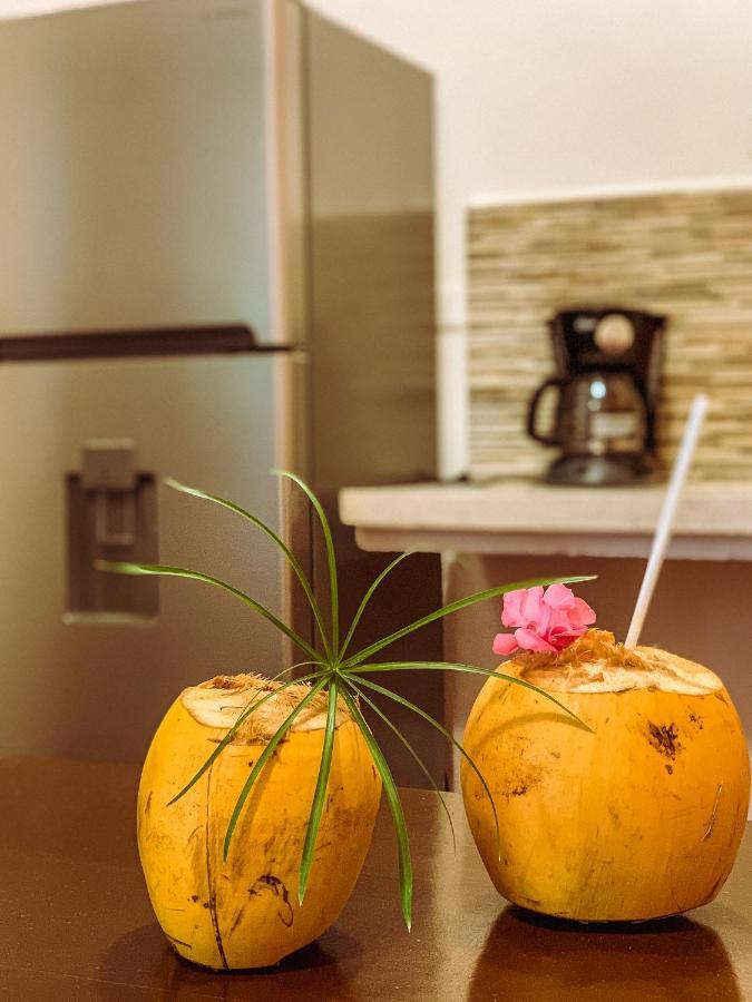 Hotel Golden Paradise Town à Holbox Extérieur photo