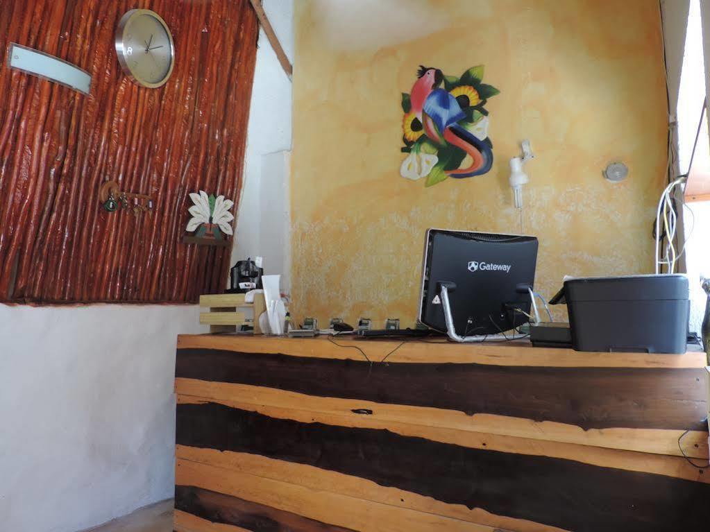 Hotel Golden Paradise Town à Holbox Extérieur photo